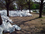 2006